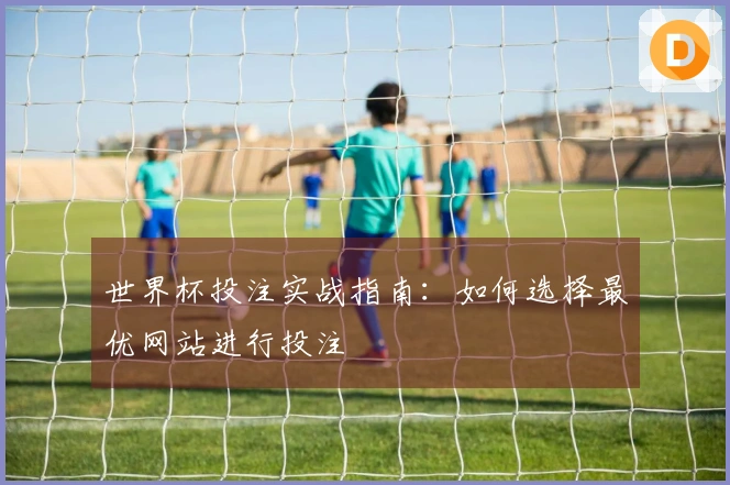 世界杯投注实战指南：如何选择最优网站进行投注