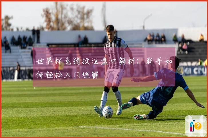 世界杯竞猜投注盘口解析：新手如何轻松入门理解