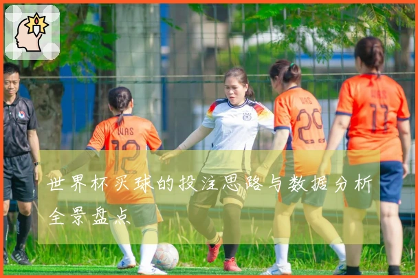 世界杯买球的投注思路与数据分析全景盘点