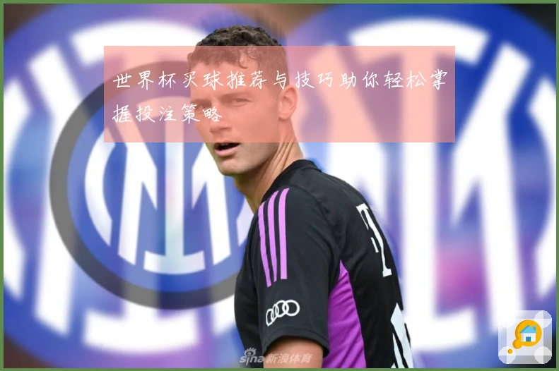 世界杯买球推荐与技巧助你轻松掌握投注策略